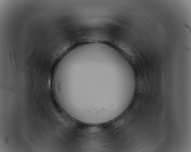 X0000093370310200710111331