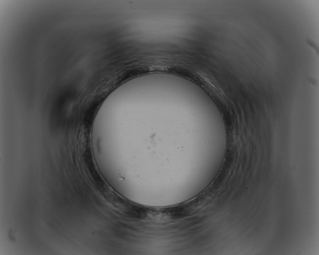 X0000093370311200710111331