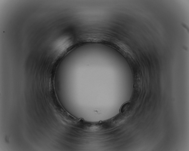 X0000093370312200710111331