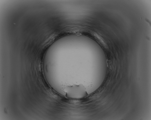 X0000093370313200710111331