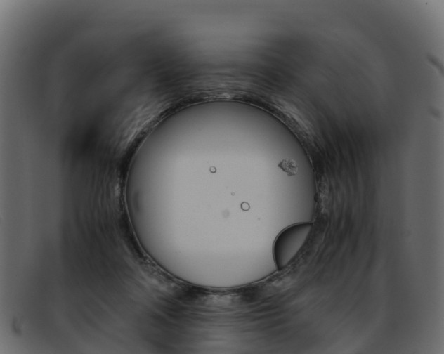 X0000093370314200710111331