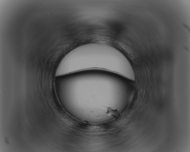 X0000093370315200710111331