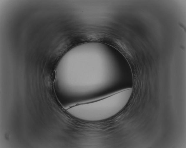 X0000093370317200710111331