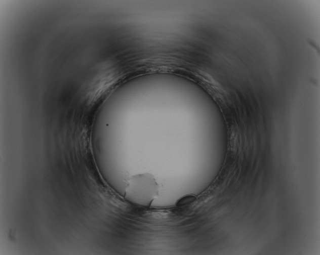 X0000093370318200710111331