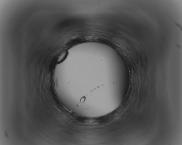 X0000093370319200710111331