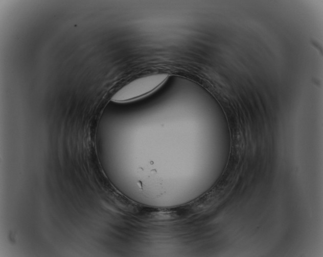 X0000093370320200710111331
