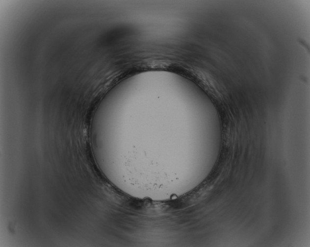 X0000093370321200710111331