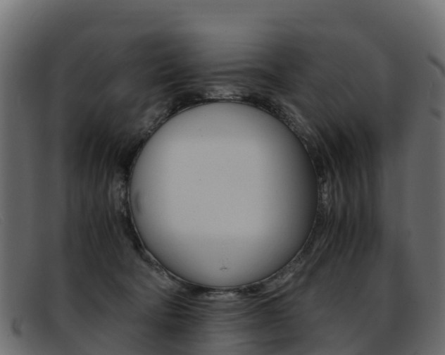 X0000093370322200710111331