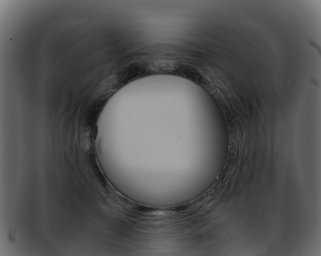 X0000093370323200710111331