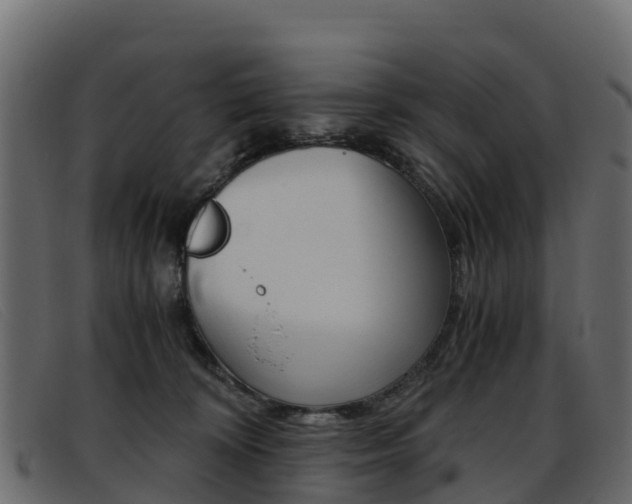 X0000093370324200710111331