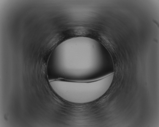 X0000093370325200710111331