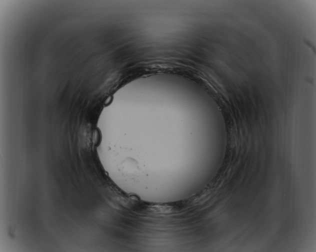 X0000093370328200710111331