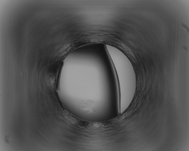 X0000093370329200710111331