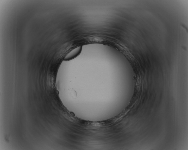 X0000093370330200710111331