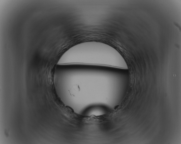 X0000093370331200710111331
