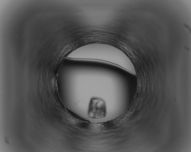 X0000093370333200710111331