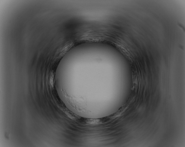 X0000093370334200710111331