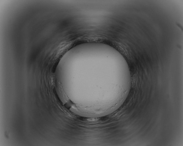 X0000093370335200710111331