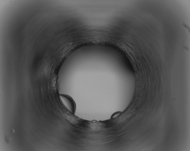 X0000093370336200710111331