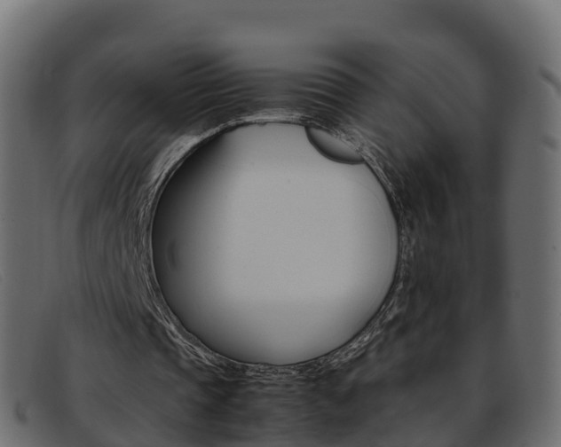 X0000093370337200710111330