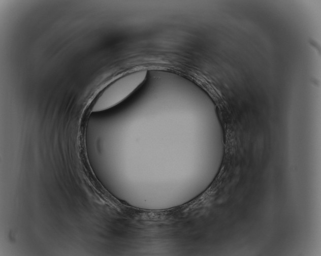 X0000093370338200710111330