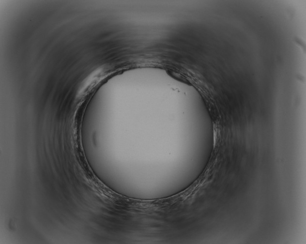 X0000093370339200710111330