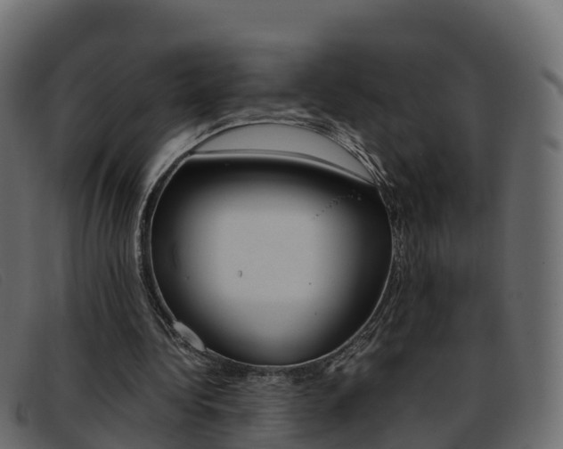 X0000093370340200710111330