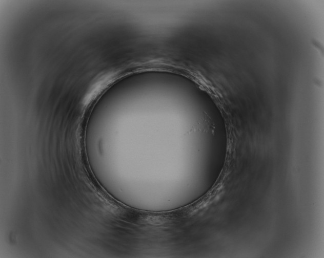 X0000093370341200710111330