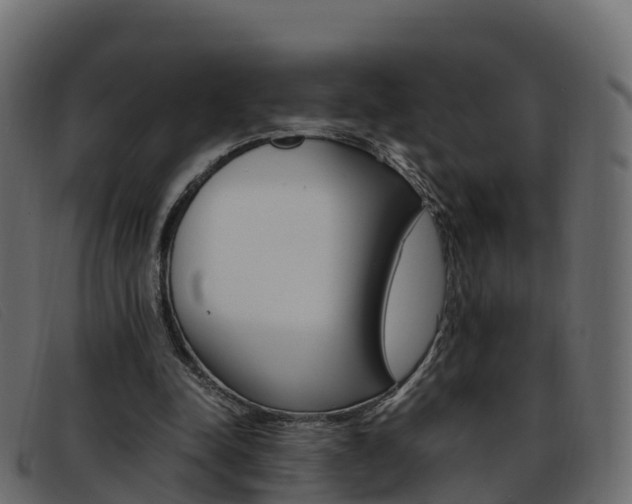 X0000093370342200710111330