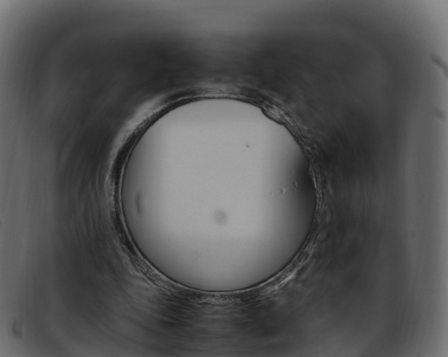 X0000093370343200710111330