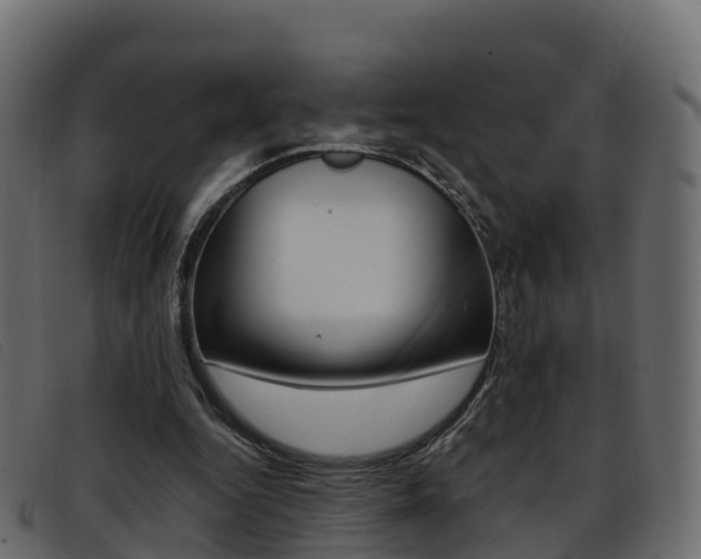 X0000093370344200710111331