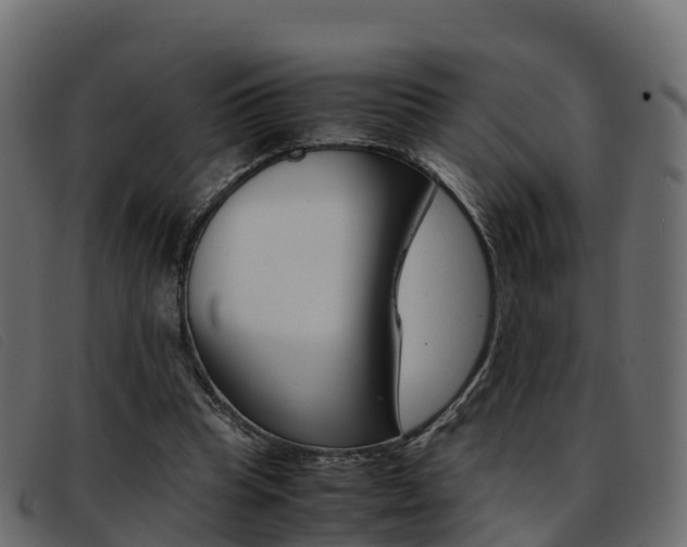 X0000093370345200710111331