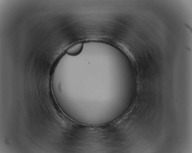 X0000093370346200710111331