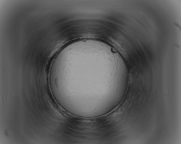 X0000093370347200710111331