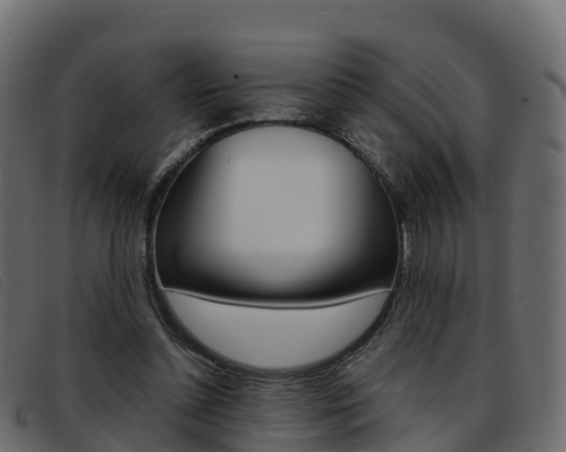 X0000093370348200710111331