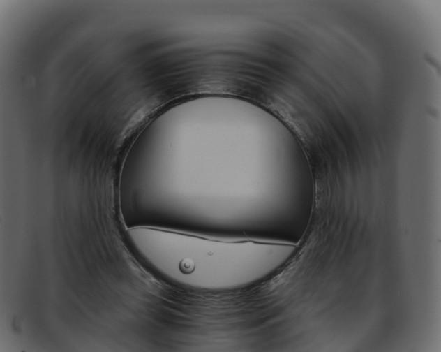 X0000093370349200710111331