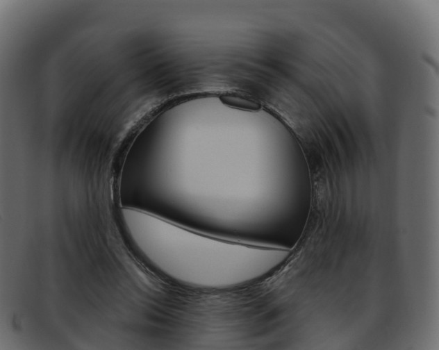 X0000093370350200710111331