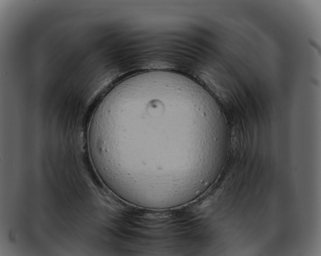 X0000093370351200710111331