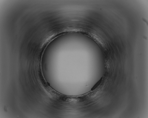 X0000093370352200710111331
