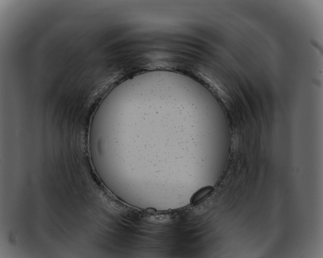 X0000093370353200710111331