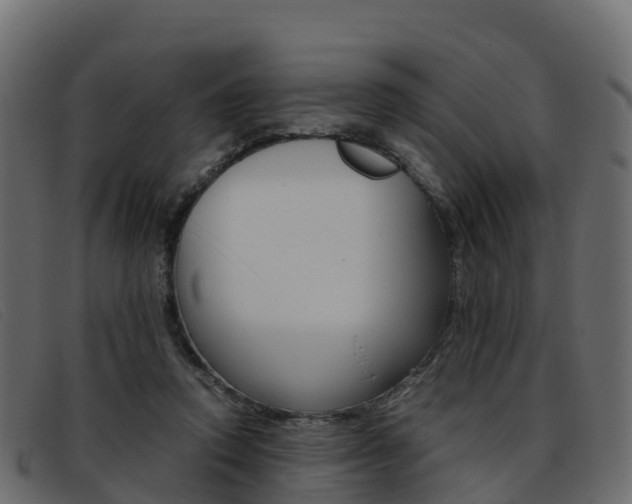 X0000093370354200710111331