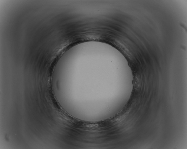 X0000093370355200710111331