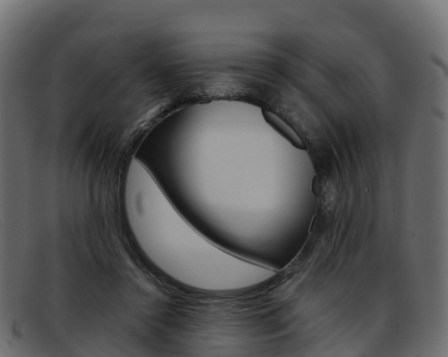 X0000093370356200710111331
