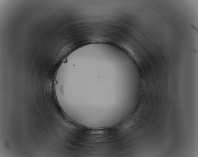 X0000093370357200710111331
