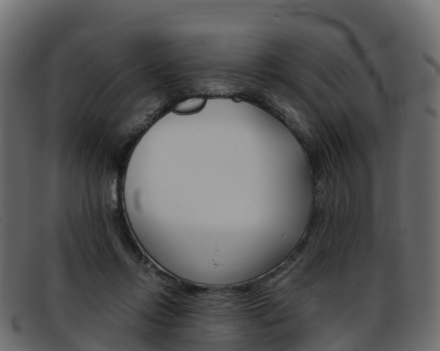 X0000093370358200710111331