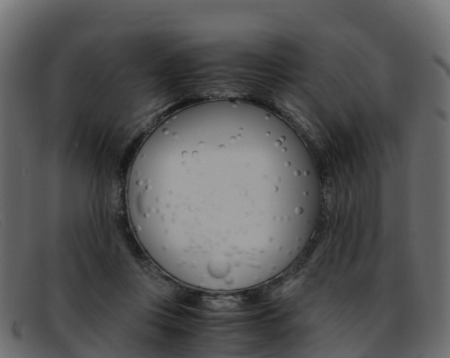 X0000093370359200710111331