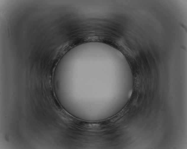 X0000093370361200710111331