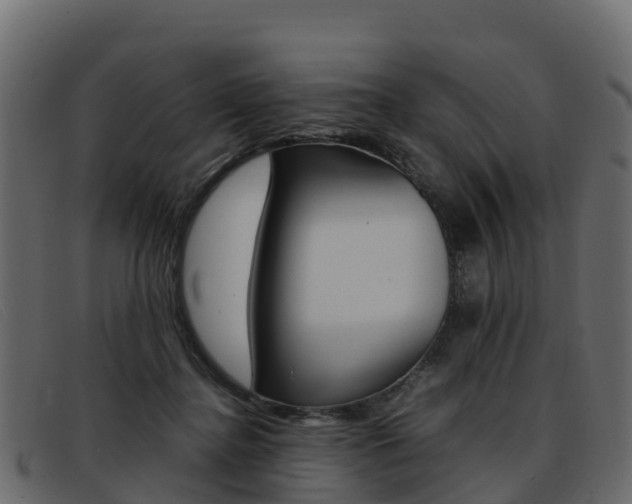 X0000093370364200710111331