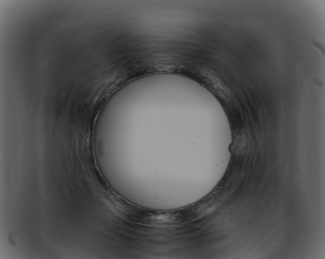 X0000093370365200710111331