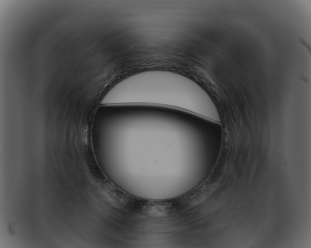 X0000093370368200710111331